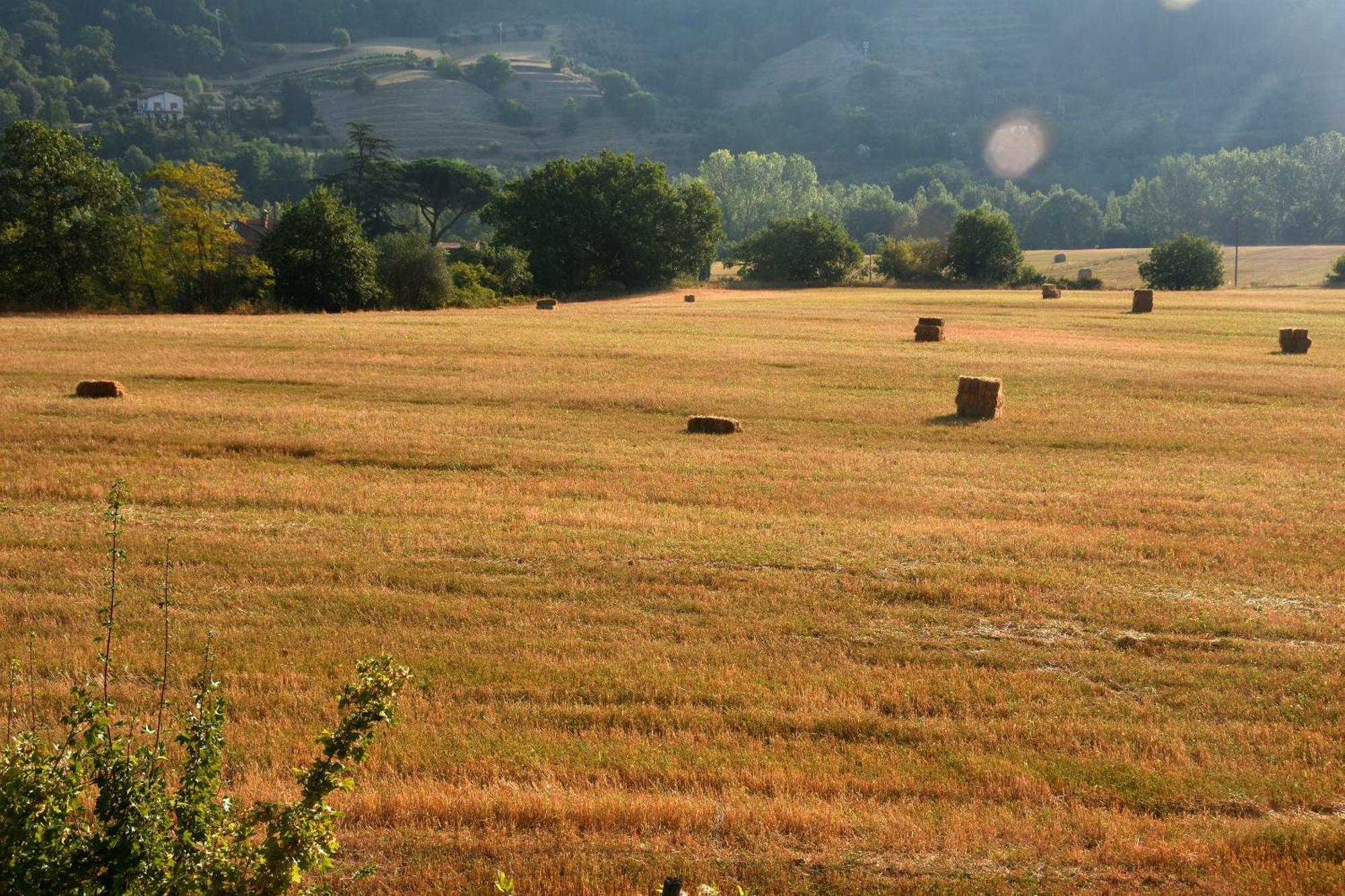 Baciano Azienda Agrituristico Venatoria Capolona Kültér fotó